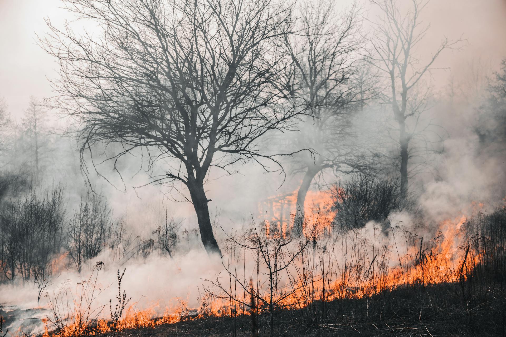 Abbruciamenti - CAMPAGNA ANTINCENDIO 2026