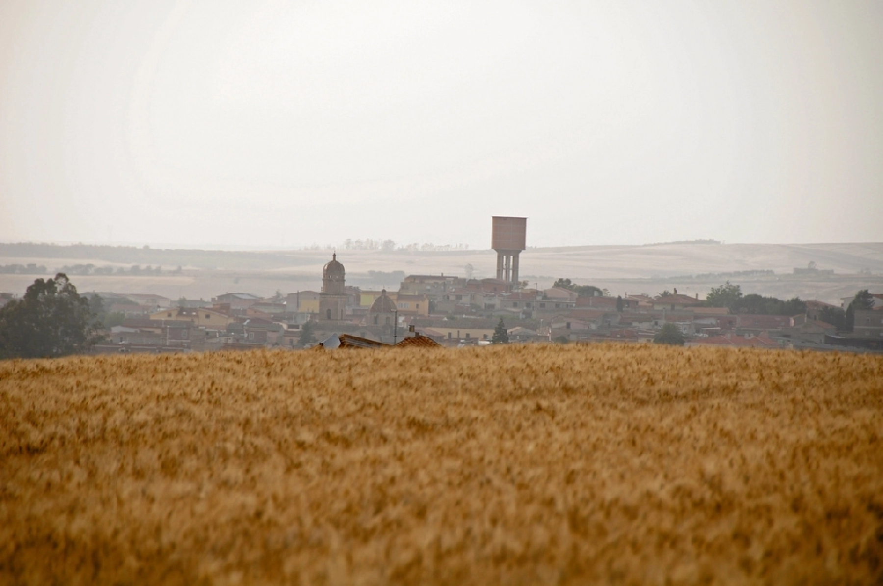 Comune di Ussana Homepage