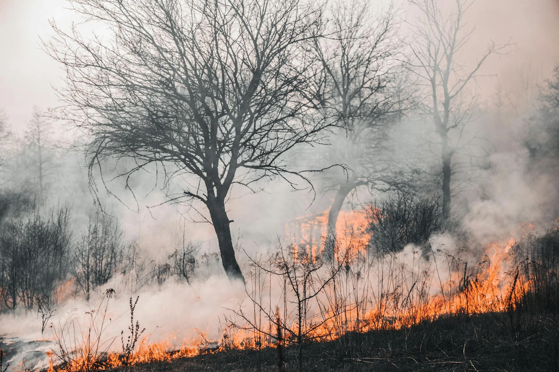 Abbruciamenti - CAMPAGNA ANTINCENDIO 2026