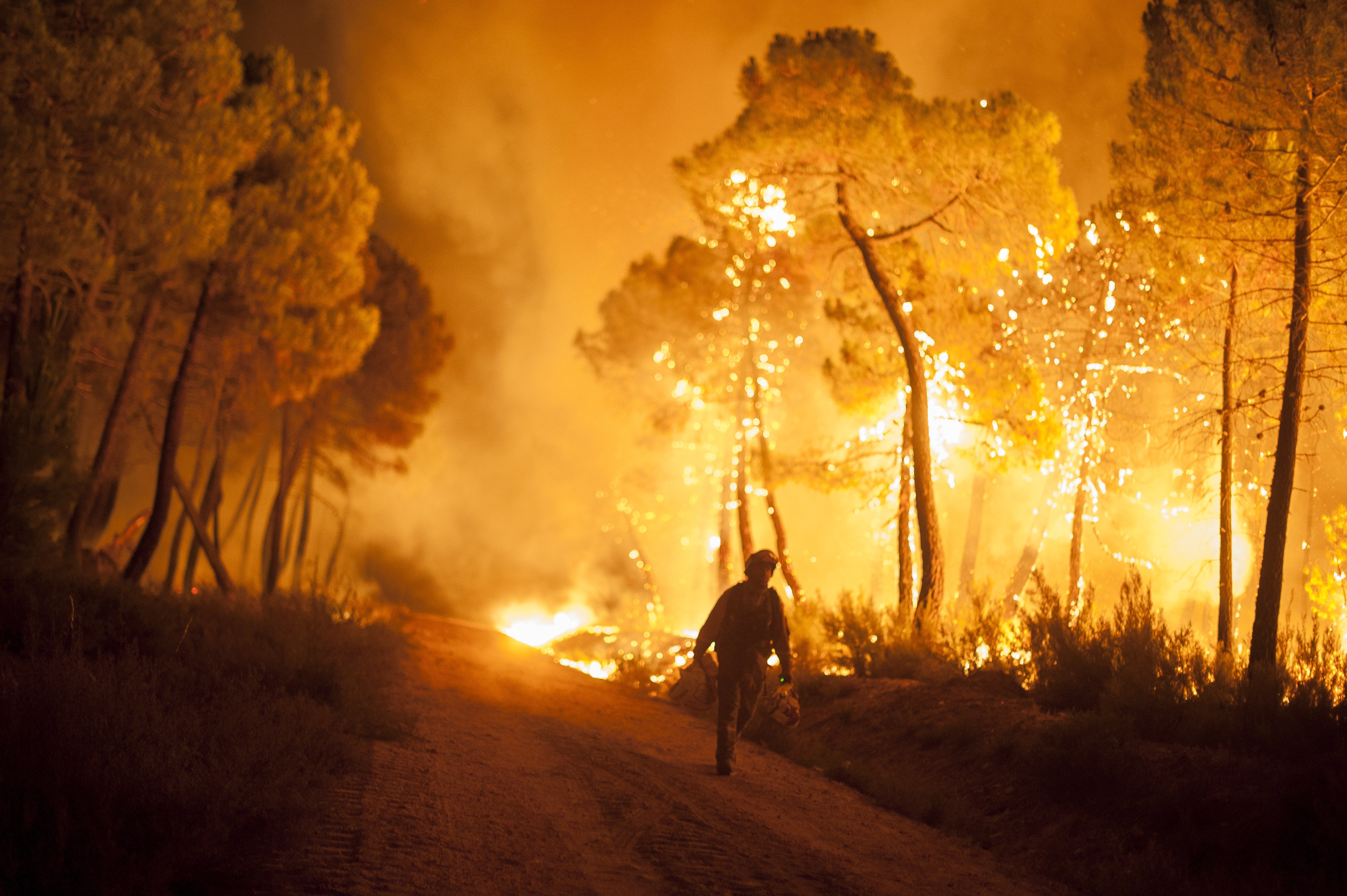 BOLLETTINO DI PREVISIONE DI PERICOLO INCENDIO PER VENERDÌ 26/07/2024