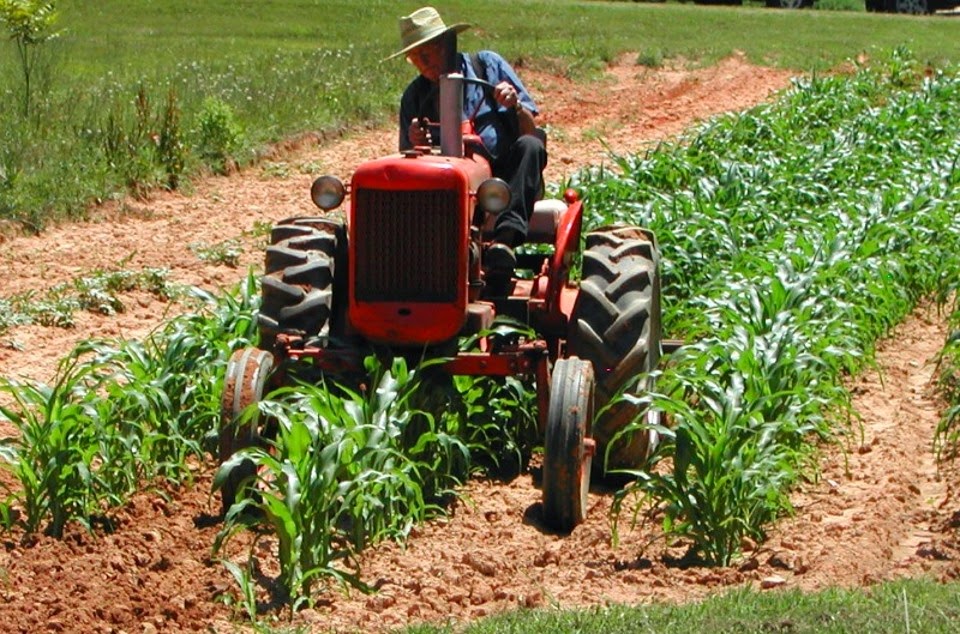 CONSORZIO DI  DIFESA  PRODUZIONI INTENSIVE PROVINCIA CAGLIARI - APERTURA CAMPAGNA ASSICURATIVA