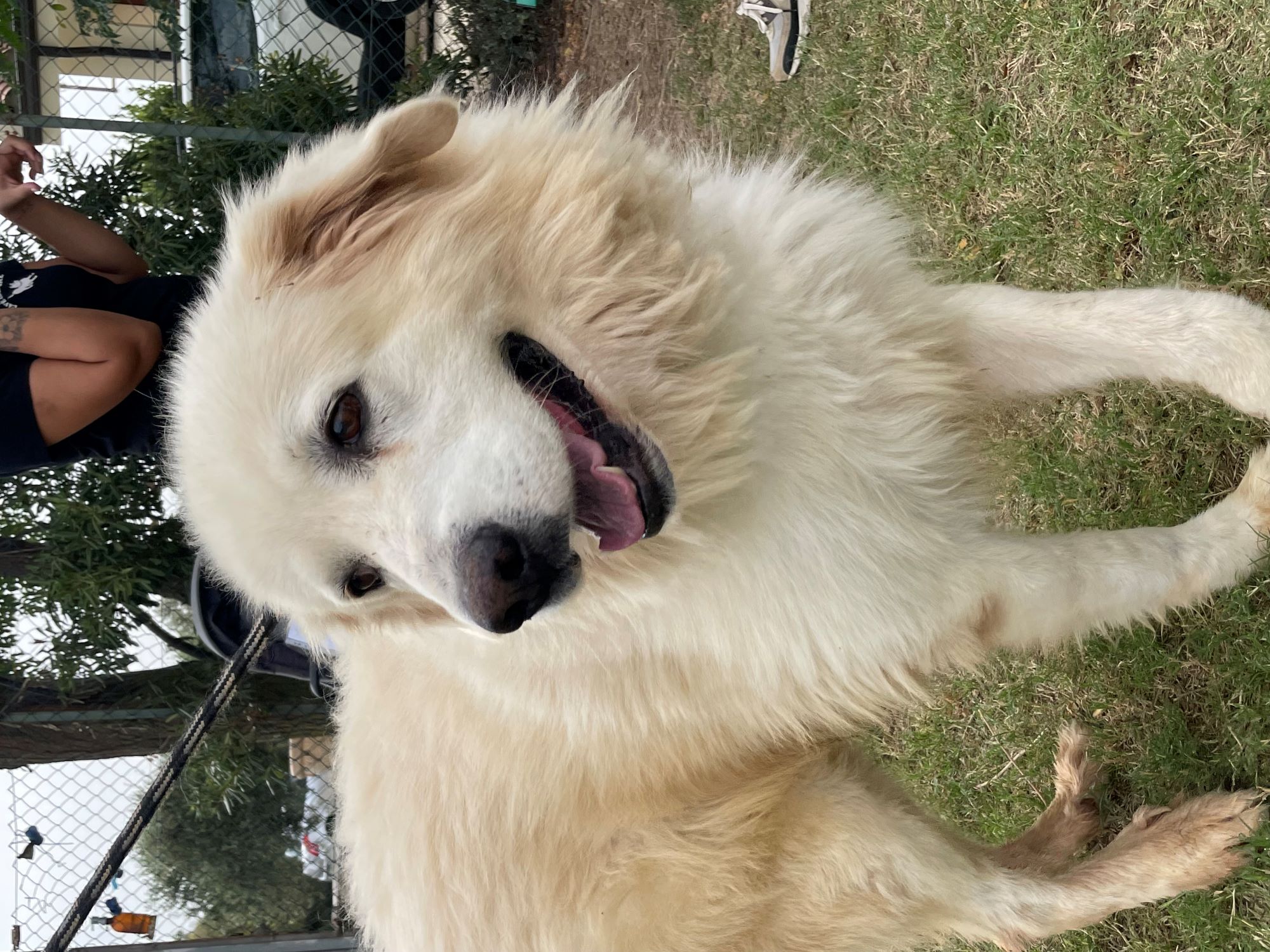 Leo