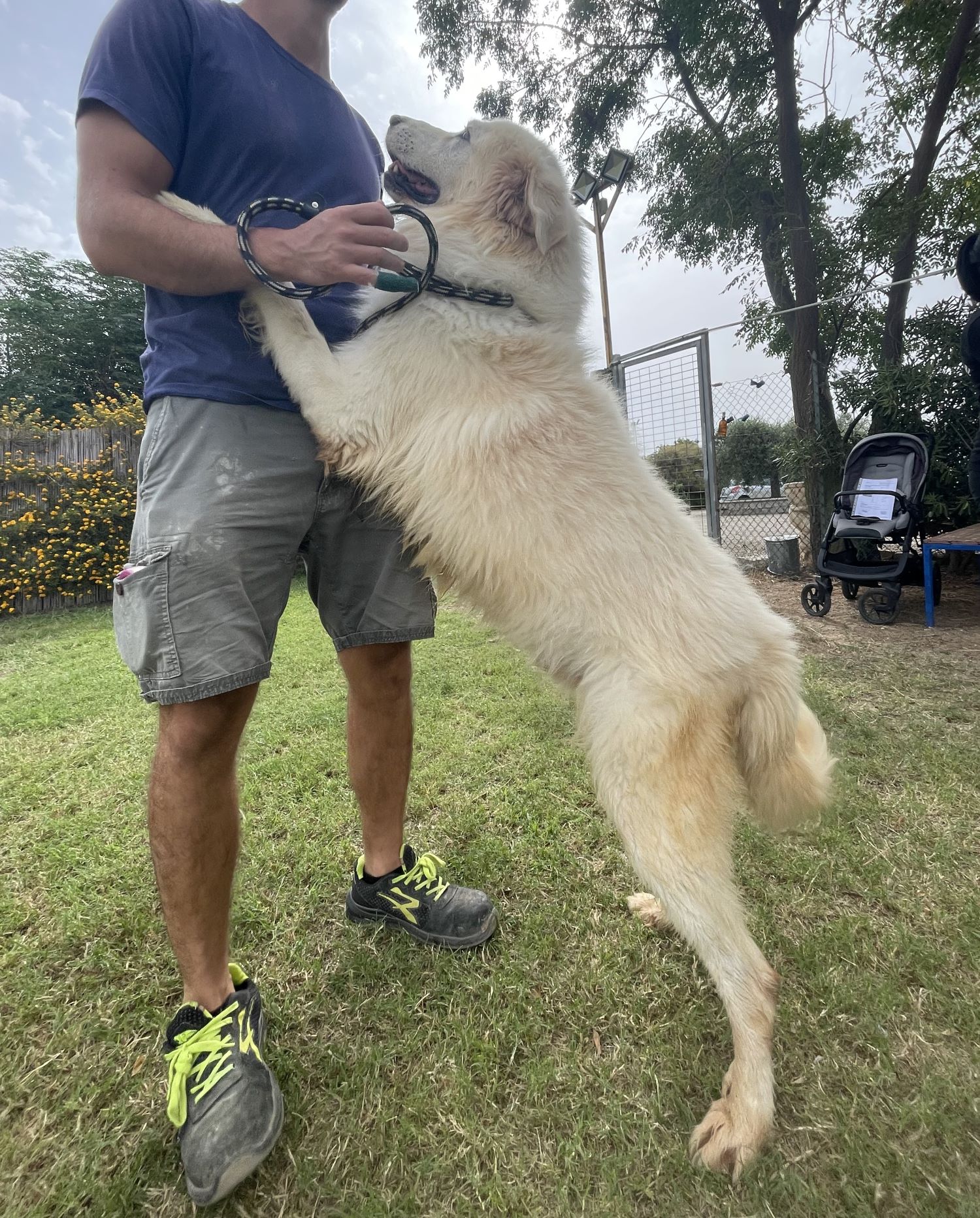 Leo